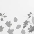 Various leaf silhouettes float against a plain, light background. Leaves of different shapes and Royalty Free Stock Photo