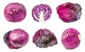 Various leaves and heads of red cabbages isolated