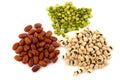 Various legumes Royalty Free Stock Photo