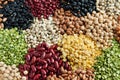 Various Legumes Royalty Free Stock Photo