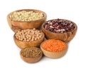 Various legumes Royalty Free Stock Photo