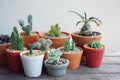 Various little succulent pot plants collection on vintage wood table with free space background Royalty Free Stock Photo