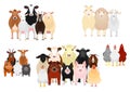 Various livestock group by purpose Royalty Free Stock Photo