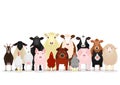 Various livestock group Royalty Free Stock Photo