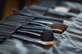 Various makeup brushes Royalty Free Stock Photo