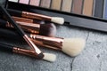 Various makeup products on dark background Royalty Free Stock Photo