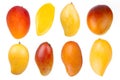 Various of Mango fruits isolated white background Royalty Free Stock Photo