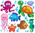 Various marine animals set 1 Royalty Free Stock Photo