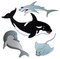 Various marine fishes collection Royalty Free Stock Photo