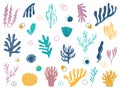 Various marine plants. Collection of underwater plants in a simple cartoon style. Vector illustration of icons of aquarium algae Royalty Free Stock Photo