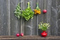 Various medical herbs and apple on farm barn wall