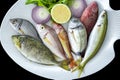 Various Mediterranean fishes bogue fish, red mullet, spotted spinefoot, parrotfish on white plate