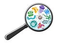 Various microorganisms virus vector cartoon bacteria germ emoticon character set through magnifying glass. Bacterial Royalty Free Stock Photo