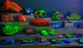 Various Minerals - under different light source showing fluorescence under ultra violet light