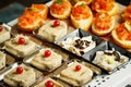 Appetizer tarts Royalty Free Stock Photo