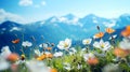 Various mountain spring flowers on a background of a mountain landscape with free space for text