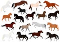 Various moving horses bundle Royalty Free Stock Photo