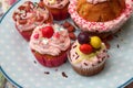 Various Muffins with cream on a plate Royalty Free Stock Photo