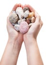 Various natural pebble stones in handful isolated