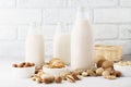 Various nut milk in bottles and ingredients. Vegan milk concept