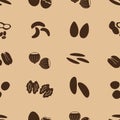 Various nuts types brown icons set Royalty Free Stock Photo