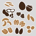 Various nuts types brown stickers set
