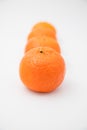 Various orange citrus fruit laying stack against white background