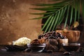 Various organic cocoa products. Cocoa beans, cocoa powder, cocoa butter, dark chocolate, liquid chocolate, grated cocoa on wooden Royalty Free Stock Photo