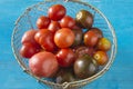 Various of organic tomatoes in vintage metalic basket on blue paint woode b Summer gardening, vegan food concept