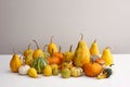 Various ornamental pumpkins on white table