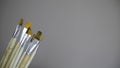 Various paint brushes on the white background. Artist many paintbrushes isolated on grey background Royalty Free Stock Photo