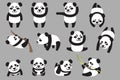 Various panda