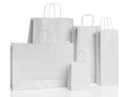 Various paper shopping bags isolated