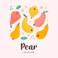 Various pears collection, doodle cartoon drawing, isolated vector illustration, sweet ripe fruit with blooming flowers Royalty Free Stock Photo