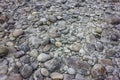 Various pebble beach stones. Texture of stones. Royalty Free Stock Photo