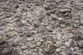 Various pebble beach stones. Texture of stones. Royalty Free Stock Photo