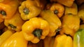 Various peppers on a supermarket shelf. They are used in salads and diets in a healthy diet.