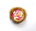 Various pilla and capsules in a bord nest, medicine concept