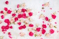 Various pink and red roses buds and petals scattered on rustic white background