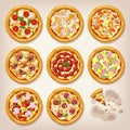 Various pizzas vector collection.