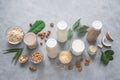 Various plant based milk Royalty Free Stock Photo