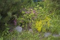 Various plants and flowers on the flower bed Royalty Free Stock Photo