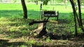 Various ploughs on farm land video