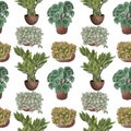 Various potted plants seamless pattern. Houseplants background