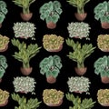 Various potted plants seamless pattern. Houseplants background