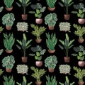 Various potted plants seamless pattern. Houseplants background