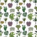 Various potted plants seamless pattern. Houseplants background