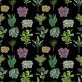 Various potted plants seamless pattern. Houseplants background