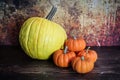 Various pumkins against an redish orange background Royalty Free Stock Photo