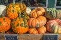 Various Pumkins Royalty Free Stock Photo